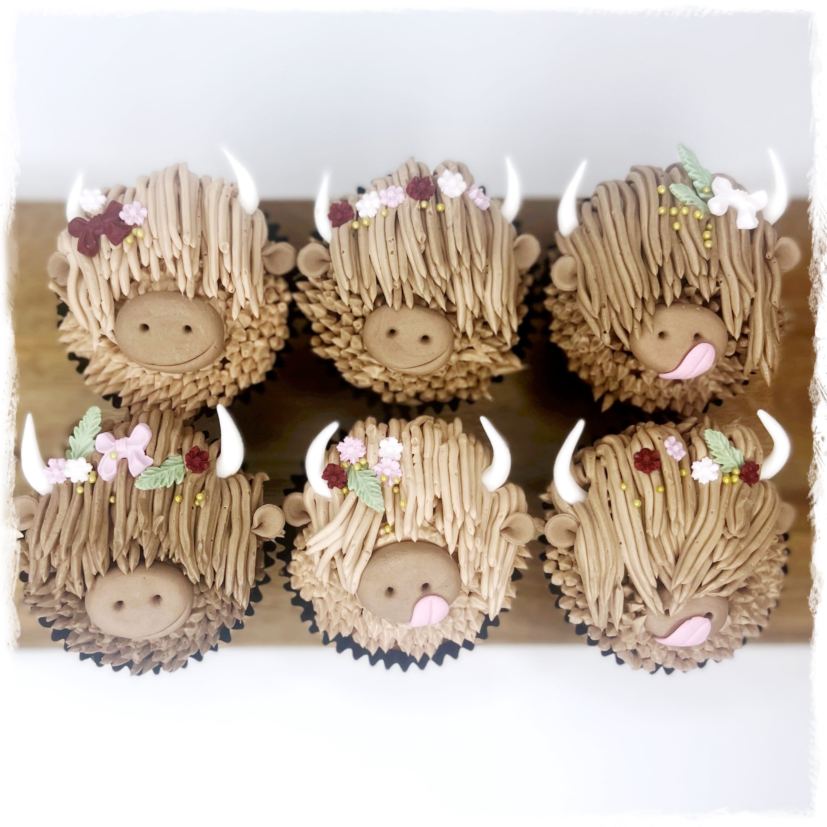 Highland Cow Cupcakes