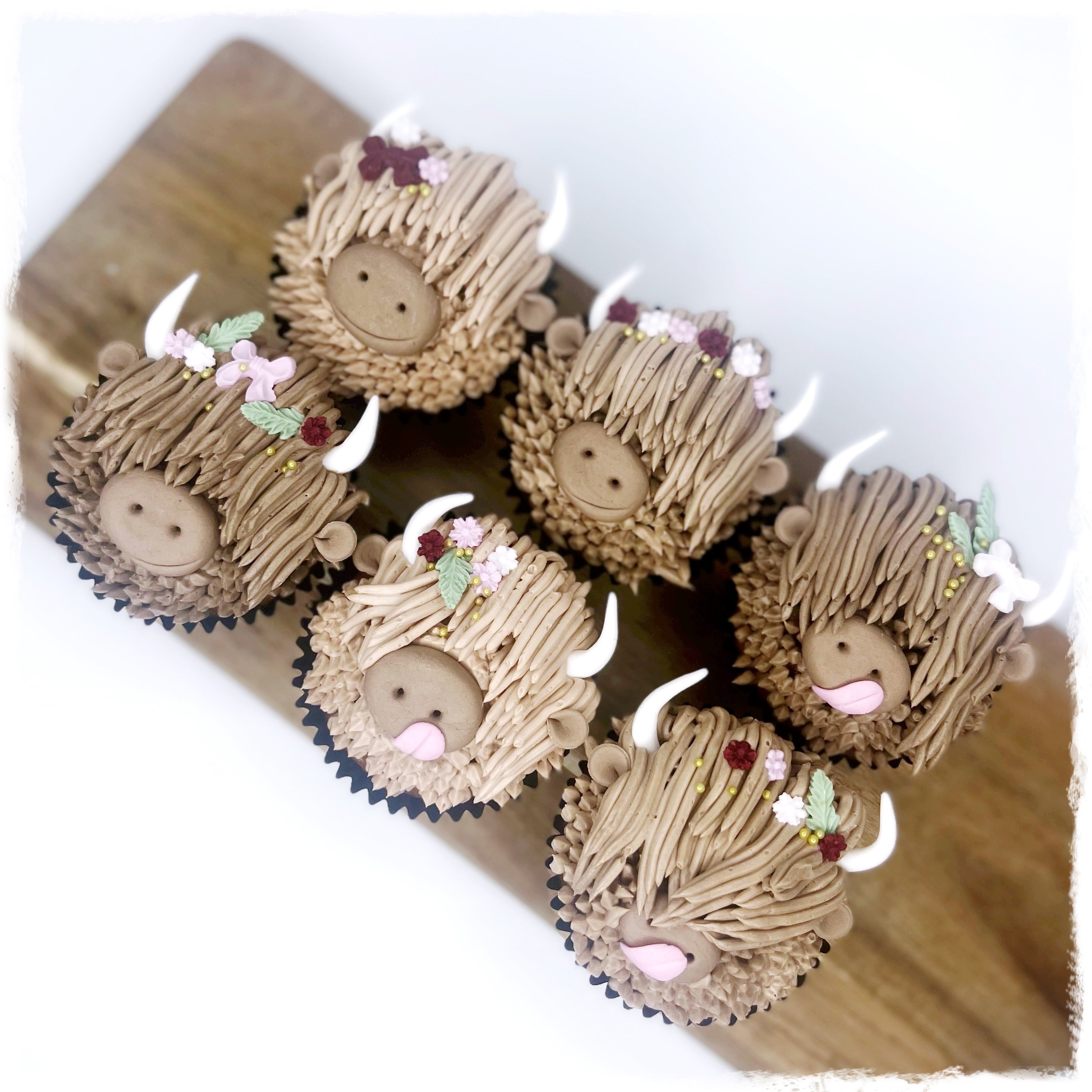 Highland Cow Cupcakes